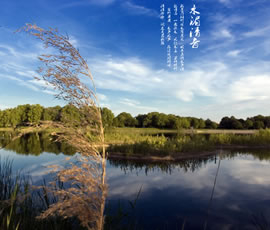 新義水鄉(xiāng)中醫(yī)藥浴康養(yǎng)、黃龍溪古鎮(zhèn)二日游