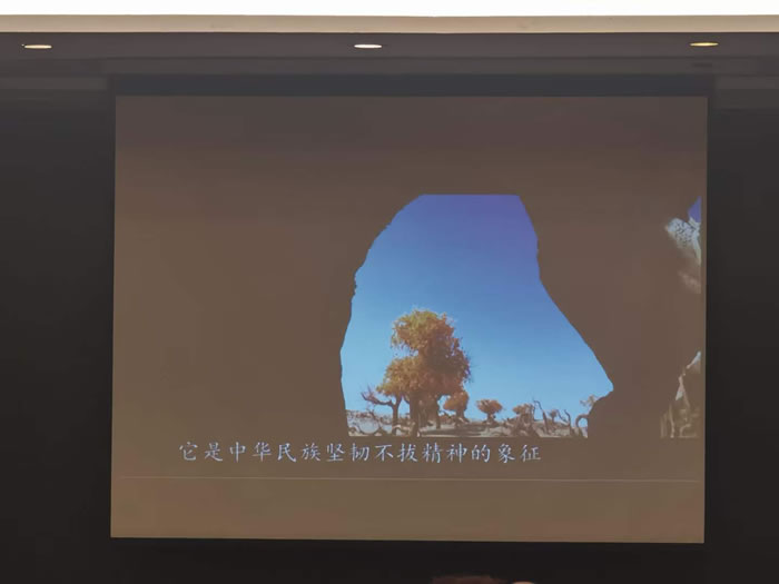 綿陽中旅行假日旅行社舉行胡楊林、南疆專列推薦會(huì)