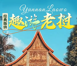【趣游老撾 · 經(jīng)典版納】—昆明、普洱、西雙版納、磨丁、瑯勃拉邦四動(dòng)8日游