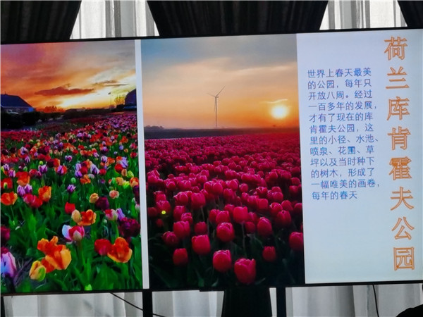 四川中青旅綿陽分社獨(dú)家定制圓夢歐洲系列 - 大全景 9 國 16 天 德國-法國-瑞士-意大利-奧地利-荷蘭-比利時-列支敦士登-盧森堡